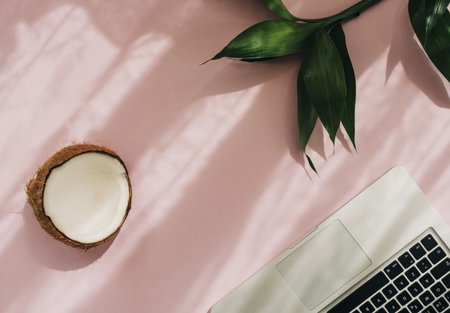 A top view shot of a pink surface, a laptop on it, green plant leaves, and half of a coconutの写真素材