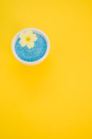 A vertical shot of a yellow flower in a pot of blue sand on a yellow backgroundの写真素材