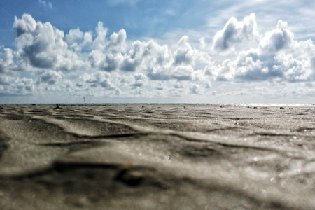 A closeup shot of a sandy seashore under a bright skyの写真素材