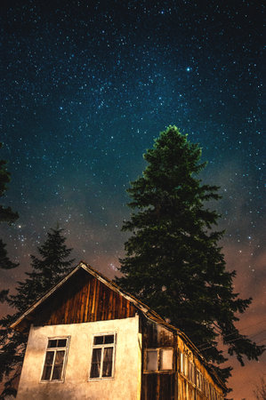 A low-angle shot at a wooden rural house by the evergreen trees under the starry sky at nightの写真素材