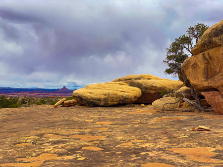 A yellow rocky dessert with plants under a cloudy skyの写真素材