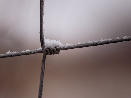 A closeup selective focus shot of the wire fence covered with snowの写真素材