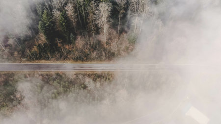 An aerial shot of a road in a forest covered in trees and fog in the daylightの写真素材