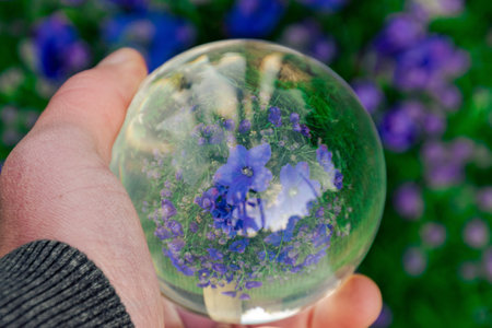 A closeup of a hand holding a bubble with reflections of vibrant purple flowers and grass in itの写真素材