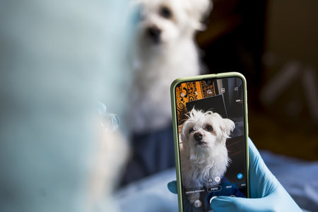 A female taking a picture of her dog with the phoneの写真素材