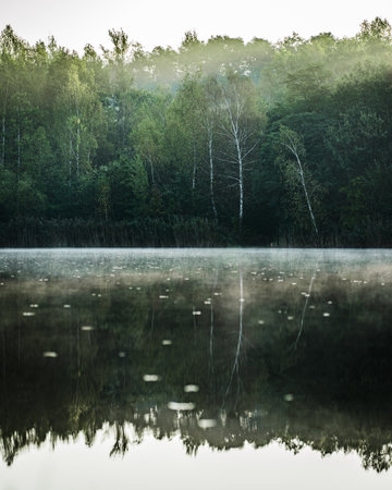 A vertical shot of the reflection of the trees on the waterの写真素材