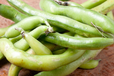 organic fava beans small farm harvestedの写真素材