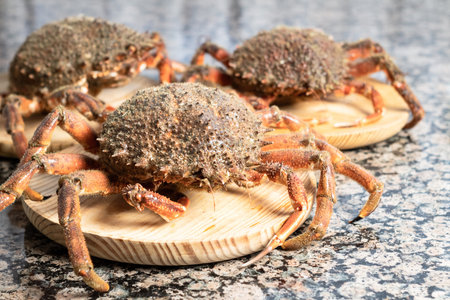 A closeup of fresh crabs on wooden platesの写真素材