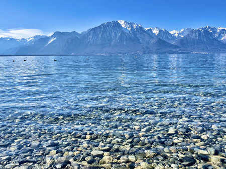 A closeup shot of the Geneva lake in Clarens, Montreux, Switzerlandの写真素材