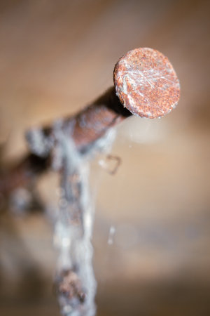 A vertical closeup shot of a rusty metal nailの写真素材