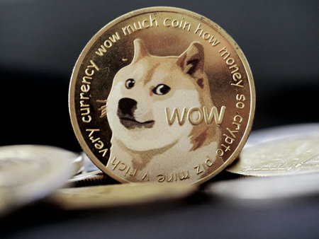 A closeup of a Dogecoin cryptocurrency put on other coinsの写真素材