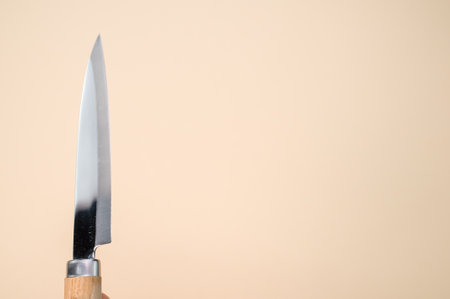 A closeup shot of a classic Japanese knife isolated on a pink background with copyscape