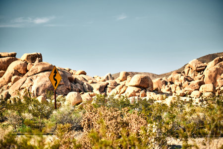 A yellow road sign showing the right way, Joshua National Tree Park, California USAの写真素材