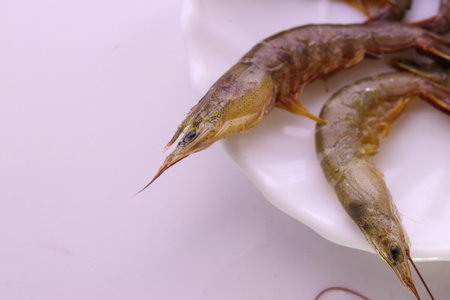 A top view of two raw Indian prawns laid out on a plateの写真素材