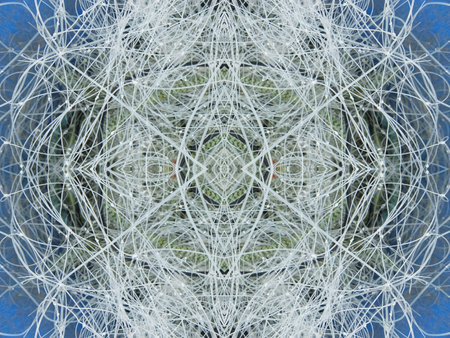 An abstract symmetric pattern of fishnet and fishing linesの写真素材