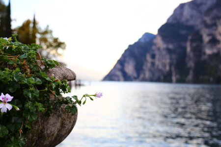 flower pot at lago di garda near Riva in the evening, Italyの写真素材