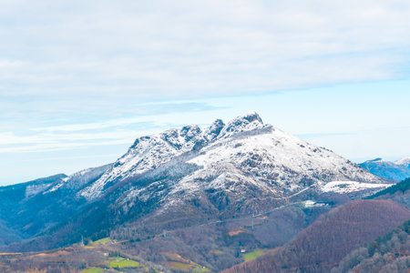 An aerial shot of the park forest during the winter season in Oiertzun, Basque, Spain