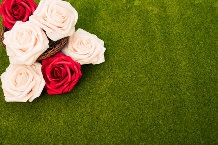 A closeup shot of red and white flowers in the green grass backgroundの写真素材