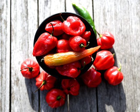 Photographed on a wooden table on a sunny dayの写真素材