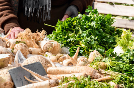 Closeup image of person selling parsley at a market. Farmers market, vegetables, organic, fresh, raw, food.の写真素材