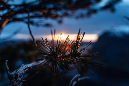 A mesmerizing scenery of a sunsetの写真素材