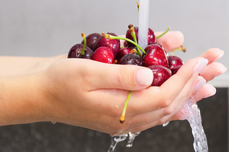 A closeup shot of female hands holding delicious cherries under a water streamの写真素材