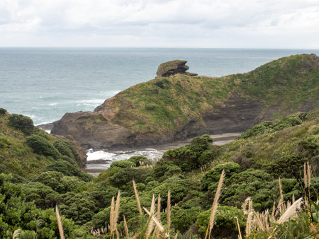 View of Taitomo Island (Camel Rock) at Piha, Auckland, New Zealandの写真素材