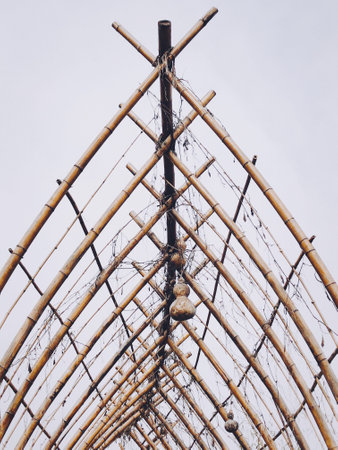 A vertical shot of a bamboo art installation outdoorの写真素材