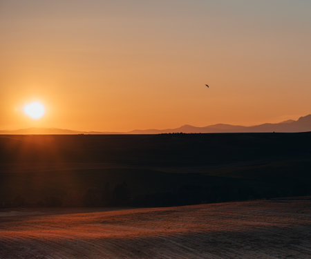 Golden sunset over a mountain fieldの写真素材