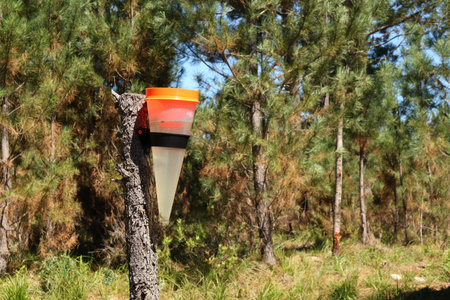 A small portable plastic forest washstand attached to a tree trunkの写真素材