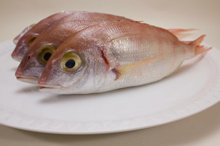 A closeup shot of a bunch of fresh fish on a white plateの写真素材