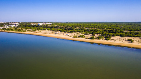 An aerial view of the sandy beach and the seaの写真素材