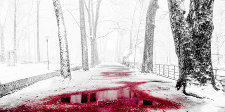 An empty snowy footpath in the park with bright red traces of blood in winterの写真素材