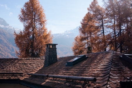 The roof of a rural house in beautiful autumnal nature during daylightの写真素材