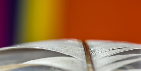 A macro shot of a white feather against a colorful rainbow backgroundの写真素材