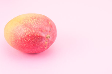 A ripe mango fruit on a smooth pink surface - copy space on the rightの写真素材