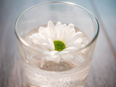 A closeup shot of a white daisy in a glass of waterの写真素材