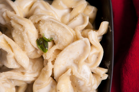 stuffed vegetarian tortellini pasta with creamy alfredo sauceの写真素材