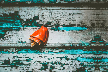 A top view of an orange shell on a wooden surface with old paiの写真素材