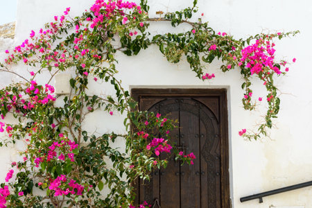 A building decorated with amazing pink flowers in Vejer de la Frontera, Spainの写真素材