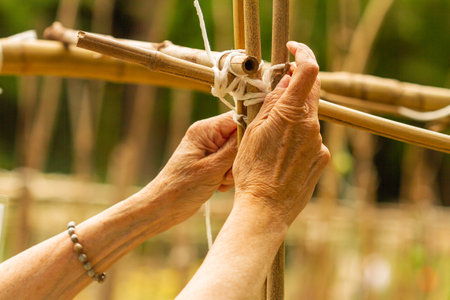 A selective focus shot of a female gardener's hands working with wooden sticks in a vegetable gardenの写真素材