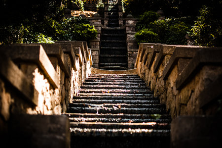 A gorgeous low angle shot of a flight of stone stairs leading to a temple with water trickling down in a sunny jungleの写真素材