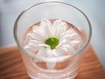 A closeup shot of a white daisy in a glass of waterの写真素材