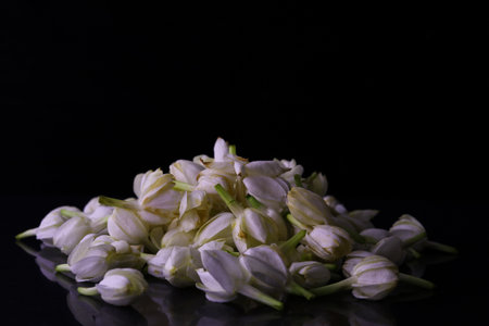 A closeup shot of onions on the black backgroundの写真素材