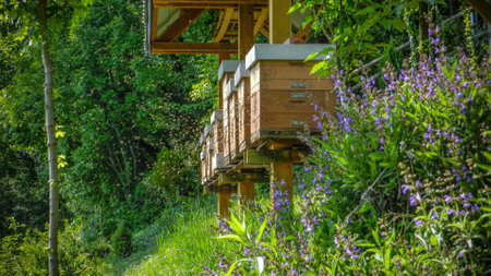 Beautiful spring scenes, hives with bees in nature.の写真素材