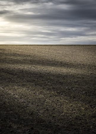 A vertical shot of a farm field under a gloomy skyの写真素材