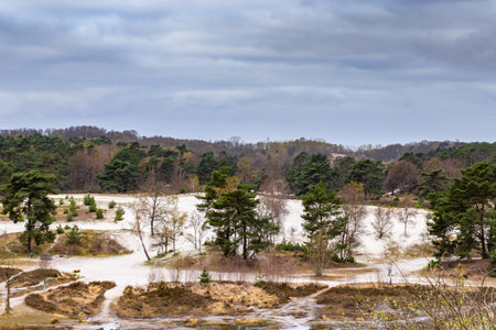 A beautiful shot of Koversada island in Croatiaの写真素材