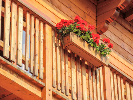 A low angle shot of a wooden balcony with red geraniumsの写真素材