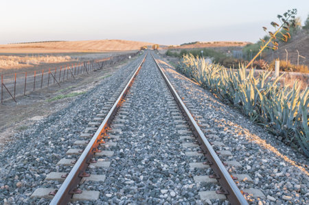 The section of track regional train with wildflowers at sunsetの写真素材