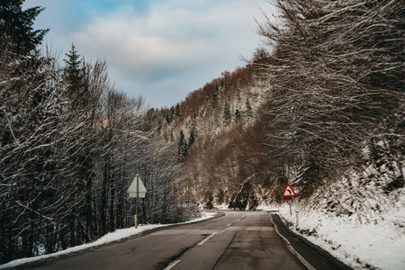 A road leading through a snowy forest on a gloomy dayの写真素材